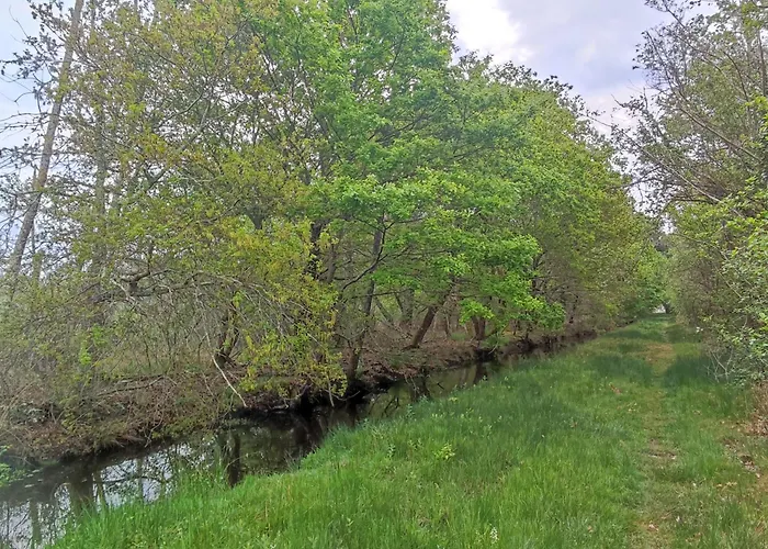 Kemping Mobil 3 Ch 6 Pers Mayotte Biscarrosse